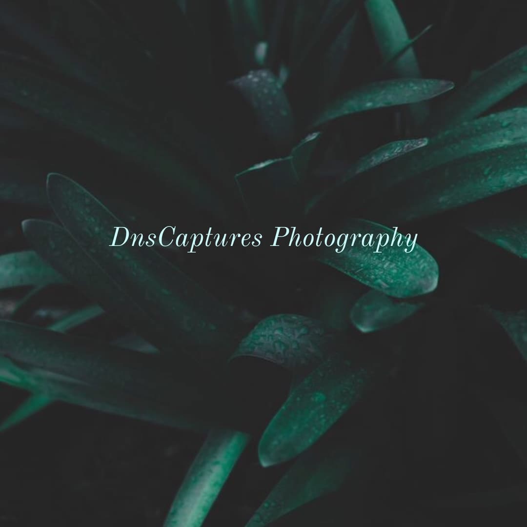 DnsCaptures