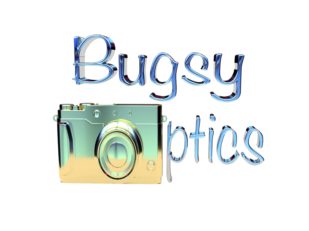 Bugsy Optics LLC